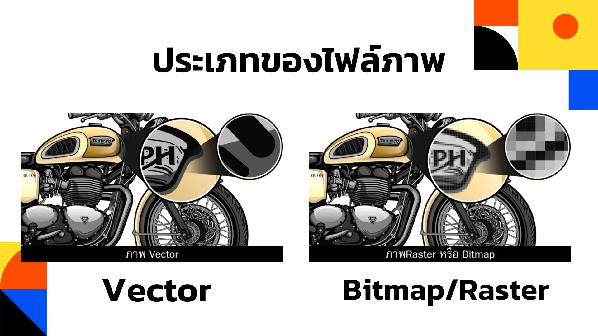 Vector กับ Bitmap เปรียบเทียบ