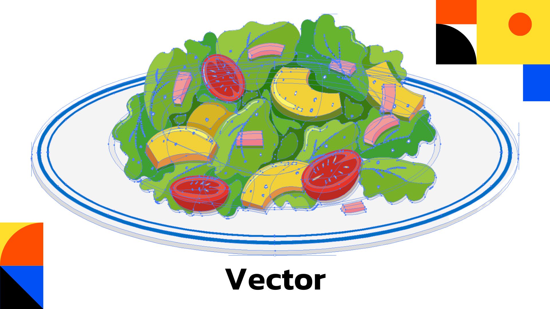 เส้น Vector จริง